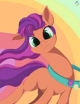 Come on, Sunny! There's no one there!