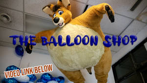 The Balloon Shop - VIDEO