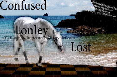 Confused.Lonley.Lost