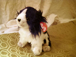 Spaniel Beanie Baby