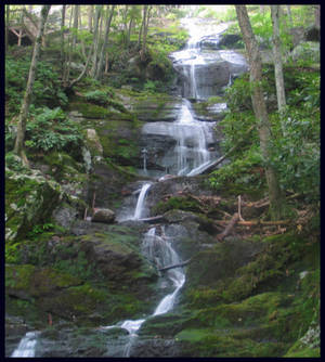 Waterfall in the Forest