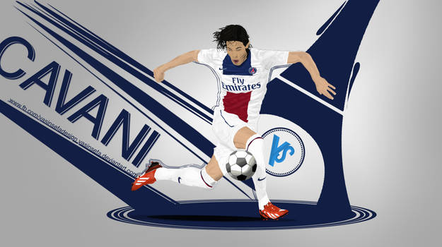 Cavani Vector Work