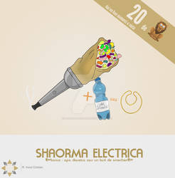 Shaorma Electrica