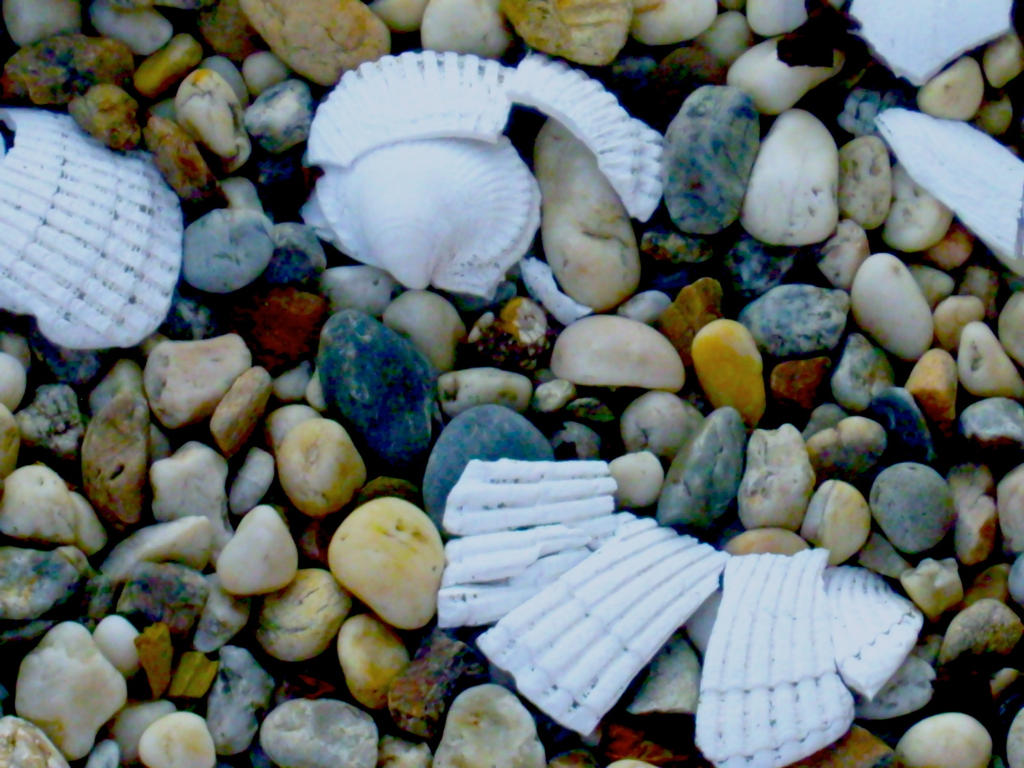 Round Rocks And Shells Rocks and Shells 01 by KittenDiotima on DeviantArt
