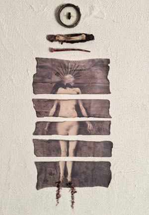 Split by DNAfever Split by DNAfever