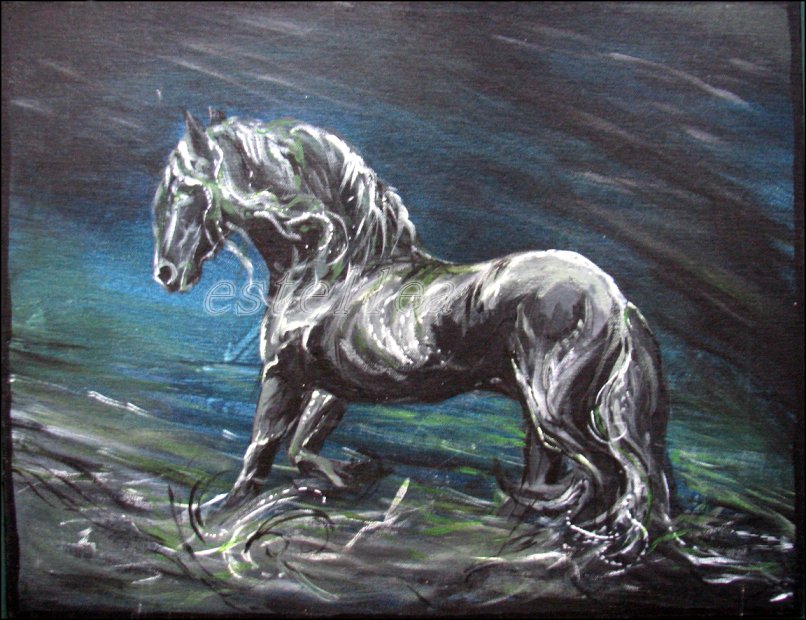 Kelpie - black