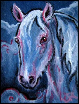 ACEO Albino Pony