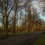 Ormeau Park - Peaceful sunset