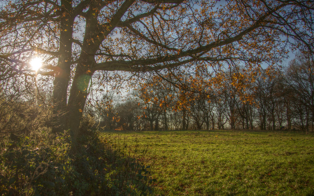 Tales from Hampstead Heath 9