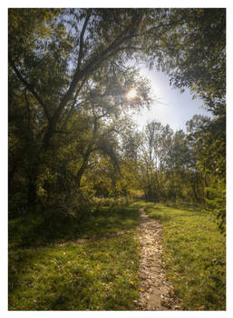 Early autumn walk