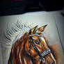 Majestic Horse