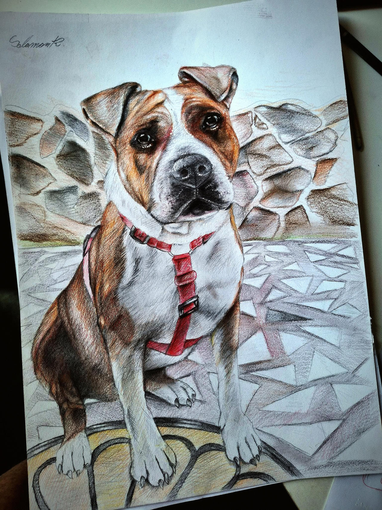 Doggo