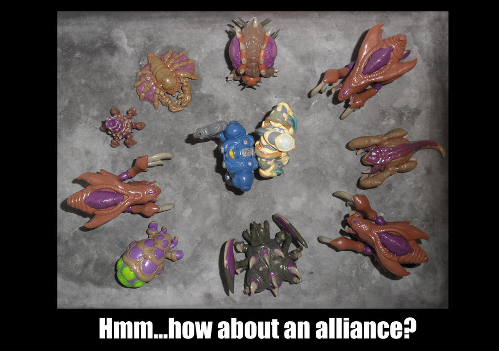 How about an alliance?