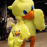 Baby Chocobo and Parent
