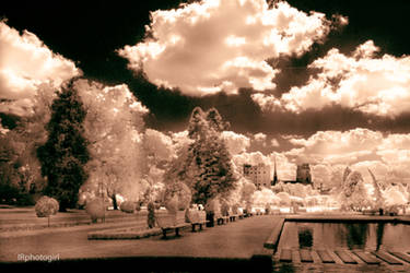 IR Eerie Garden VI -Sepia 950nm