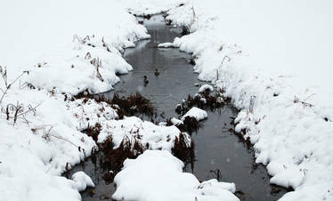 Snowy Creek