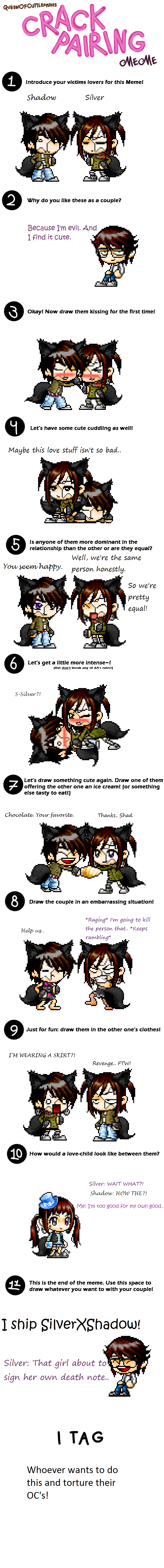 Crack Pairing Meme ShadowXSilver