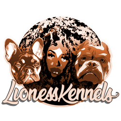 Lioness Kennels ORANGEcut