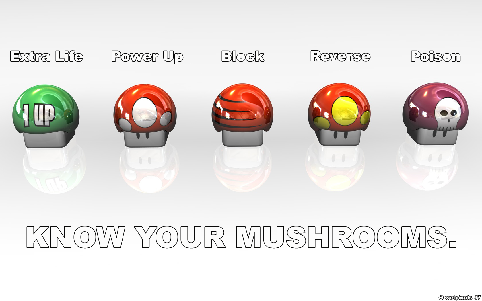 KNOW YOUR MUSHROOMS 1680x1050