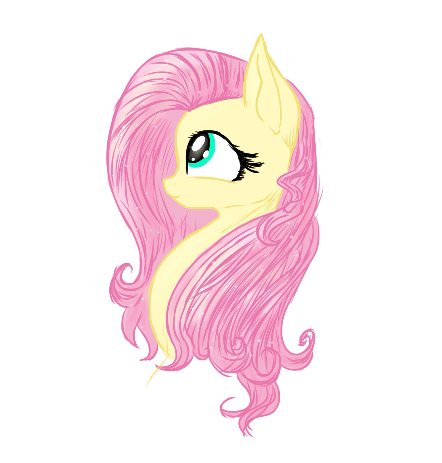 Flutters | SIDWTU