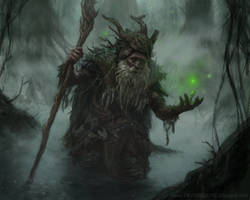 Swamp Elder