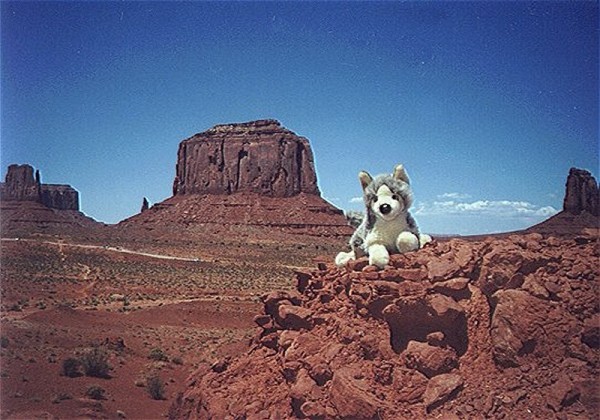 Douglas wolf plush in Monument Valley by Brakawolf on DeviantArt