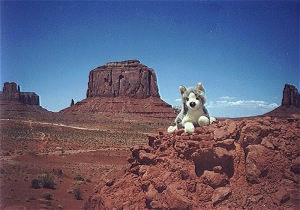Douglas wolf plush in Monument Valley by Brakawolf on DeviantArt Douglas wolf plush in Monument Valley by Brakawolf on DeviantArt