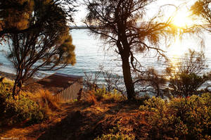 Boatshed at Sunset