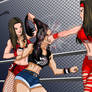 Handicap Match - Bella Twins vs AJ Lee 05