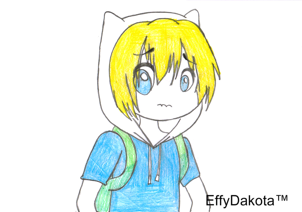 Finn The Human NEW