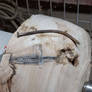 Nail inside wood
