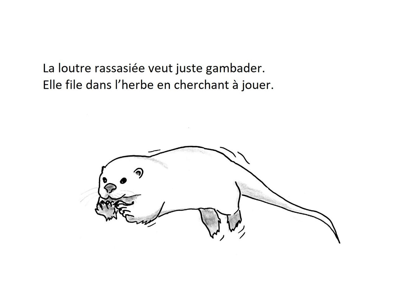 Loutre By Kerlyenai On Deviantart Loutre By Kerlyenai On Deviantart