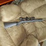 Ruger .17 Hmr