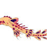 coral dragon in colors