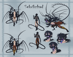 Commission: Reference Sheet - Sekrikzhad