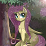 Fluttersy :)