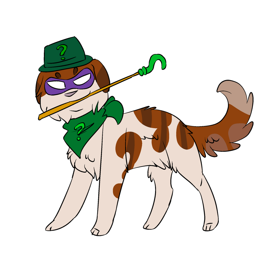1. The riddler by Dragofelid on DeviantArt