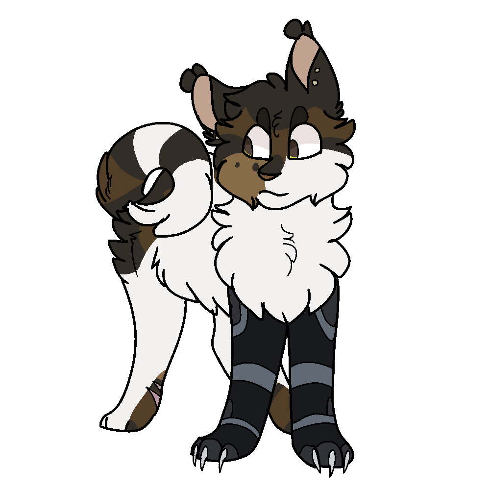 Deviantart Ringtail 13 American Ringtail by Dragofelid on DeviantArt