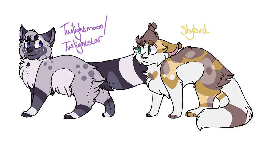 Warrior Cats Mlp Crossover Pt 2 By Dragofelid On Deviantart Warrior Cats Mlp Crossover Pt 2 By Dragofelid On Deviantart