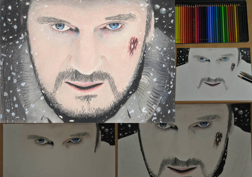 Liam Neeson - From Start to Finish