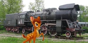 Bambi with a pkp class 0I49