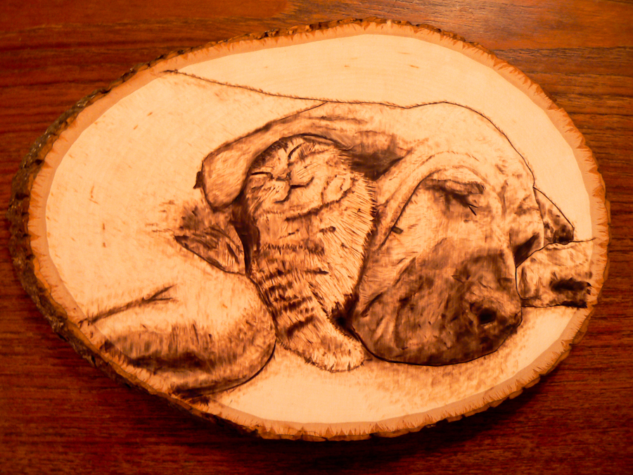 Bloodhound and cat - Wood Burning