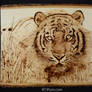 Tiger - wood burning