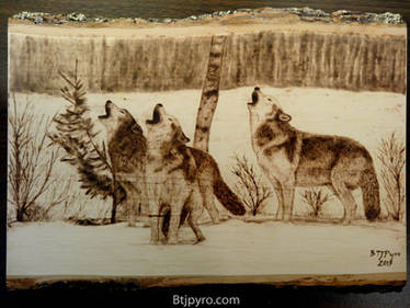 Wolves - Wood burning