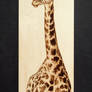 Tall Giraffe - Woodburning