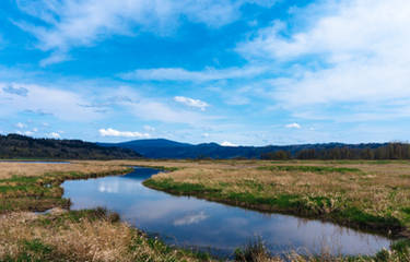 Gibbons Creek Wildlife Trail