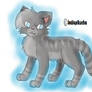 Warrior Cats Jayfeather