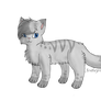 Warrior Cats Ashfur