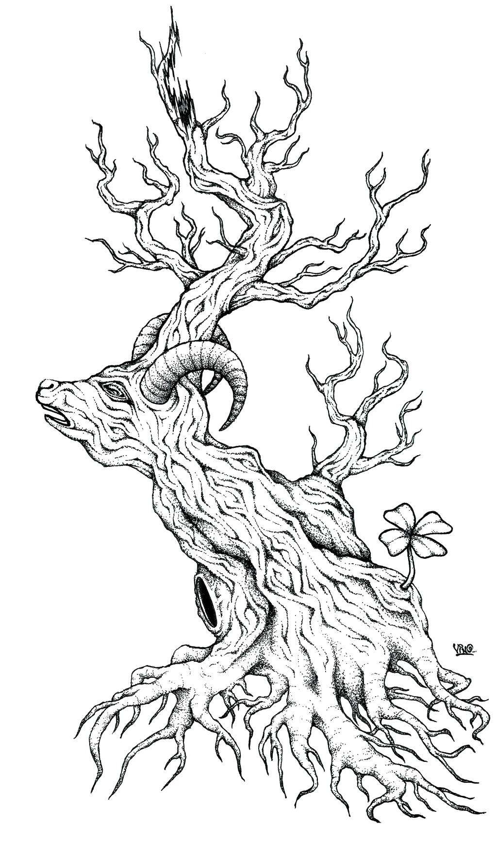 Gnarled Woods