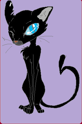 Coraline Cat By Applepup On Deviantart